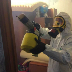 Уничтожение клопов в квартире. Балтийск